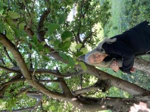 Garnet Fields - Baby Glasgow, United Kingdom