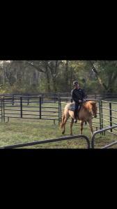 Darrell Dao - Daddy York, United Kingdom