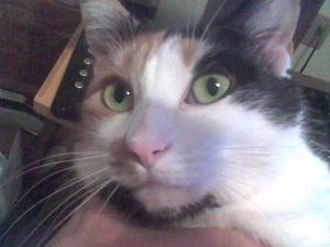 Kelvin Elkins - Daddy Winnipeg, Canada