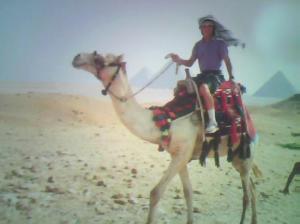 Kevin Sample - Daddy Birmingham, United Kingdom