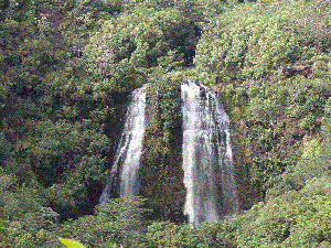 Noel Pollock - Daddy Austin, USA