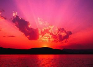 Troy Currier - Daddy San Diego, USA